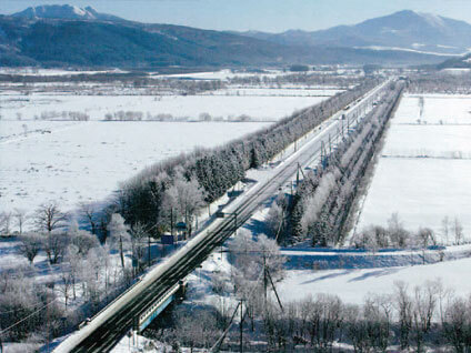 道路防雪林で吹雪を緩和します-写真イメージ